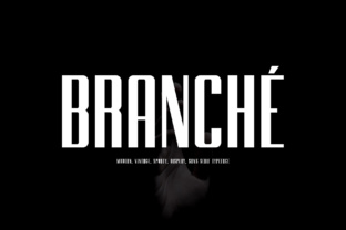 Branche: A Sturdy Sans Serif for Editorial Authority
