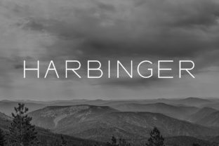 Harbinger Font: A Friendly Sans Serif for Modern Web Projects