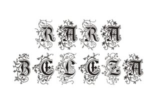 Rara Beleza: A Font for Distinct Editorial Character