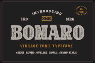The Editorial Power of Bonaro Family: A Vintage Display Font Collection