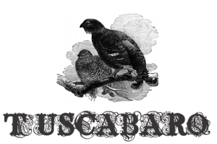Tuscabaro: A Display Font for Campaigns That Need to Speak Up